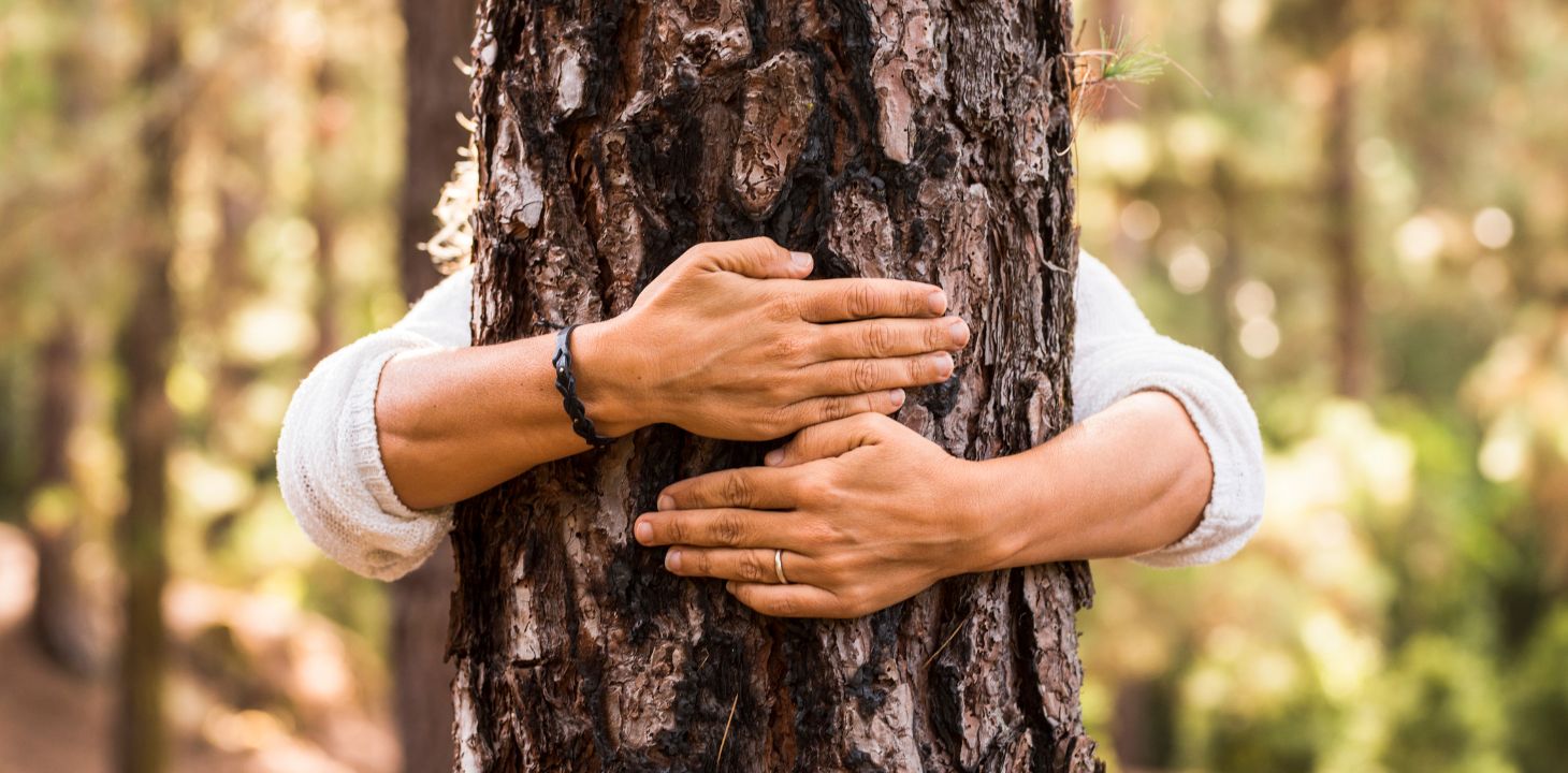 kädet halaamassa puuta