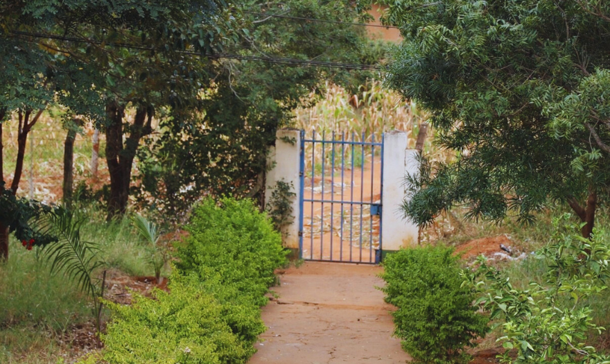 Tansanialainen vehreä maisema jossa puita ja pensaita, keskellä portti valkoisesta kivestä.