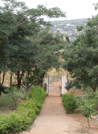 Tansanialainen maisema jossa näkyy vihreitä puita ja pensaita, kukkula ja portti.