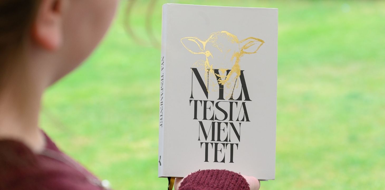 ihminen pitelee niityllä kädessään uutta ruotsinnosta Uudesta testamentista
